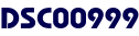 DSC00999