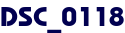 DSC_0118