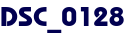 DSC_0128