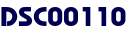 DSC00110