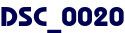 DSC_0020