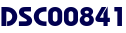 DSC00841