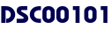 DSC00101