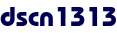 dscn1313 dscn1313