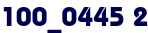100_0445 2 100_0445 2
