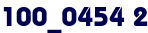 100_0454 2 100_0454 2