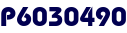 P6030490 P6030490
