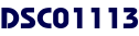 DSC01113