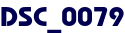 DSC_0079