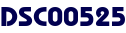 DSC00525