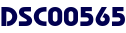 DSC00565