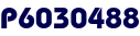 P6030488 P6030488