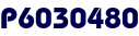 P6030480 P6030480