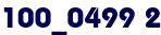 100_0499 2 100_0499 2
