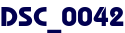 DSC_0042