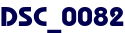 DSC_0082