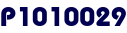 P1010029 P1010029