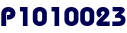 P1010023 P1010023