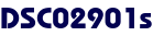 DSC02901s
