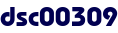 dsc00309
