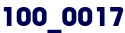 100_0017 100_0017