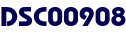 DSC00908