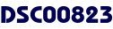 DSC00823
