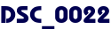 DSC_0022