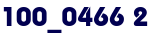 100_0466 2 100_0466 2