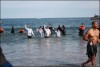 Previous: StatePolarPlunge1.jpg - State Membership Director Steve Kehoe (3rd gray t shirt from left), State Warden Steve Raschke(4th from left), et al. at the 2013 Polar Plunge in Virginia Beach.