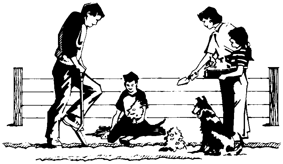 Family planting a garden